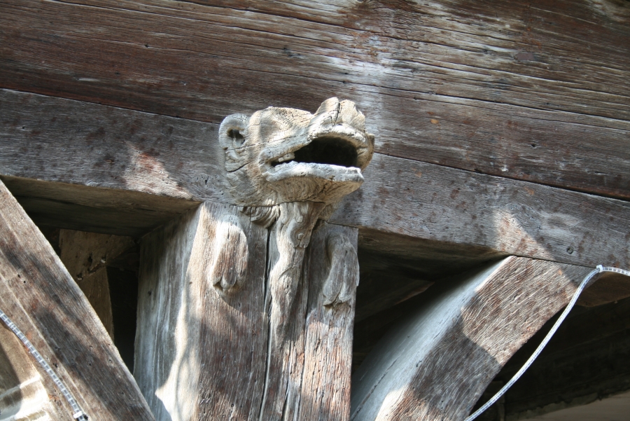 Something's Head