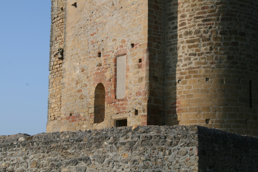 Mouse Entrance