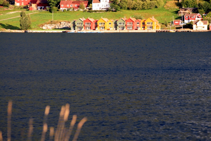 Coloured World