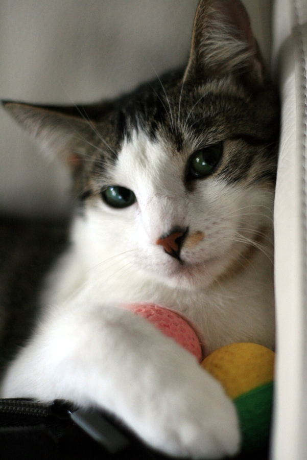 One Week with Akemi (4/7) : Sleeping With Balls