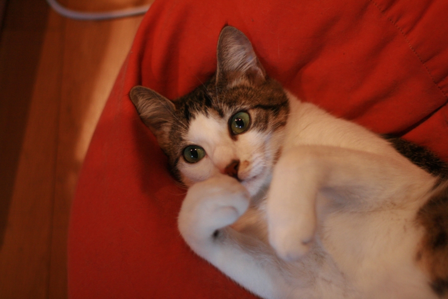 One Week with Akemi (7/7) : On The Pouffe