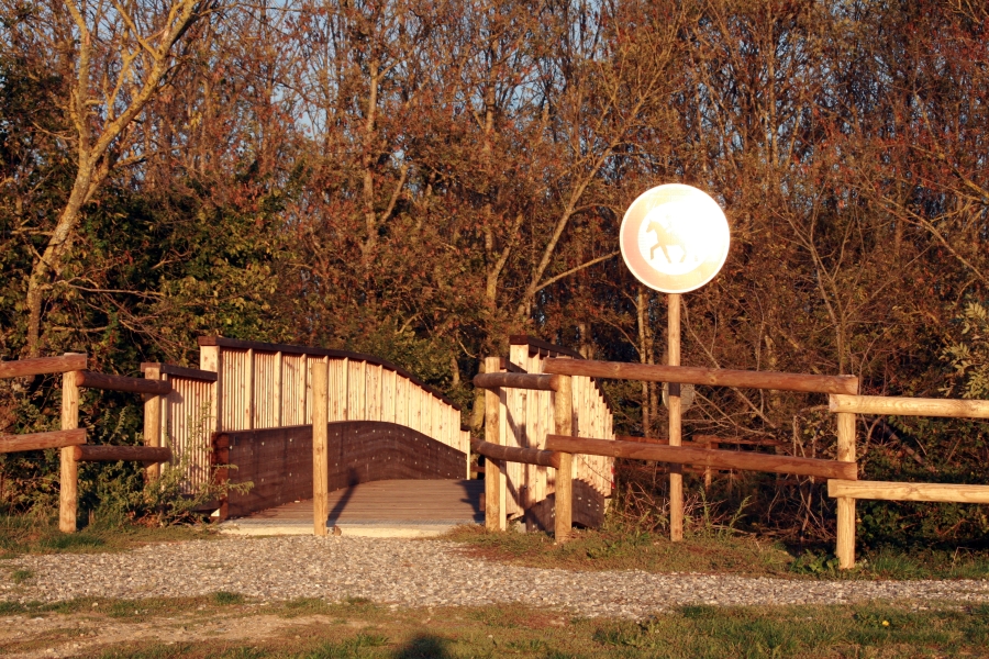 Autumnal Wooden Bridge