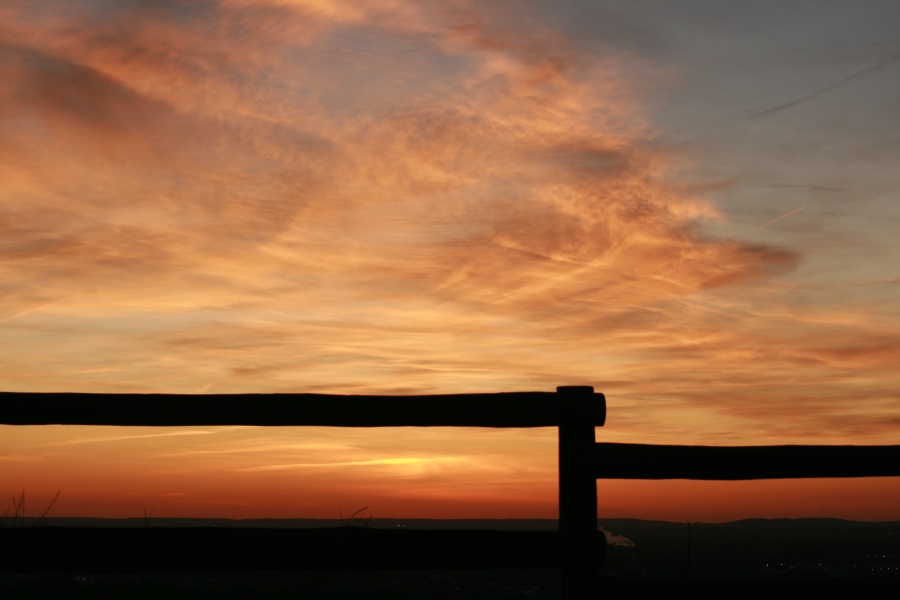 Sunset Fence