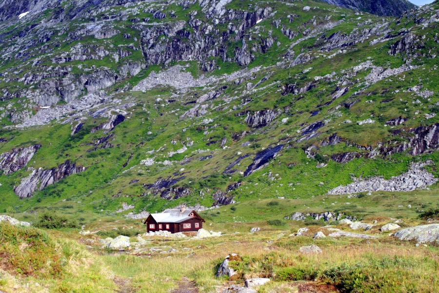Isolated House