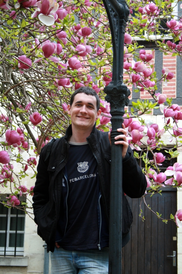 Streetlight and Flowers