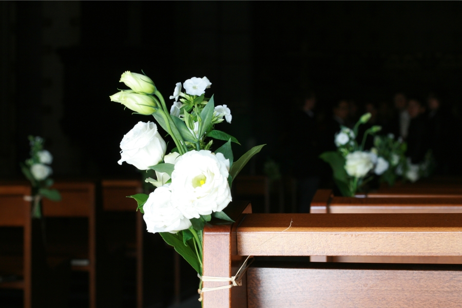 White Bunch