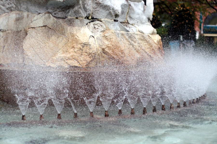 Wilson's Water (1)