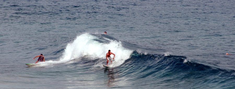 Surfing Guys