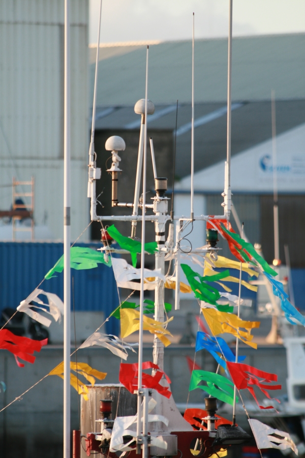 Flowing Flags