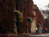 Autumnal theatre