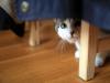 Akemi's Activities (2/5)
