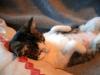Akemi's Activities (3/5)