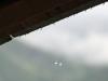 Twin Raindrops