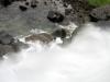 Fluid Cotton