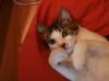 One Week with Akemi (7/7) : On The Pouffe