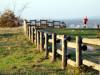 The Fence In the Edge Of Pech David