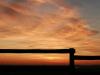 Sunset Fence