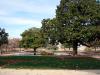 Green Peyrou