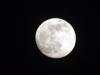 Blue Moon