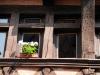 Geraniums and Old Houses