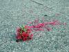 Fallen Bunch