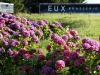 Eux