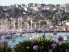 Flowers and Masts