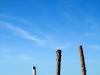 Three Pillars on the Beach