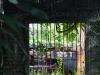 The Train Behind Bars
