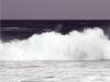 Sea Mouth