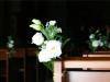 White Bunch
