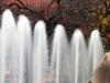 Wilson's Water (3)