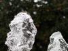 Wilson's Water (2)