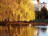 The Heron And The Yellow Tree