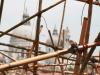 A the Top of the Bamboo Tower