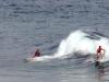 Surfing Guys